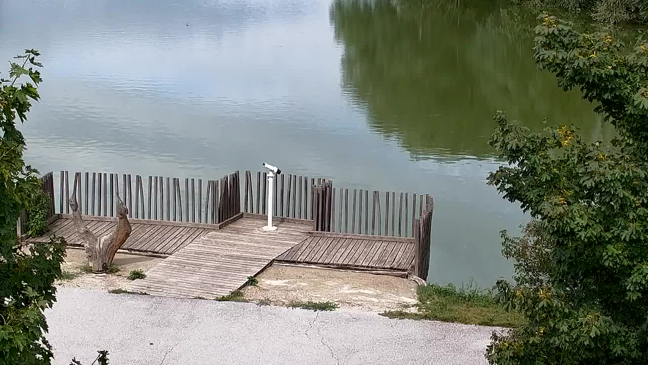 Webcam Ribnik Vrbje – Žalec