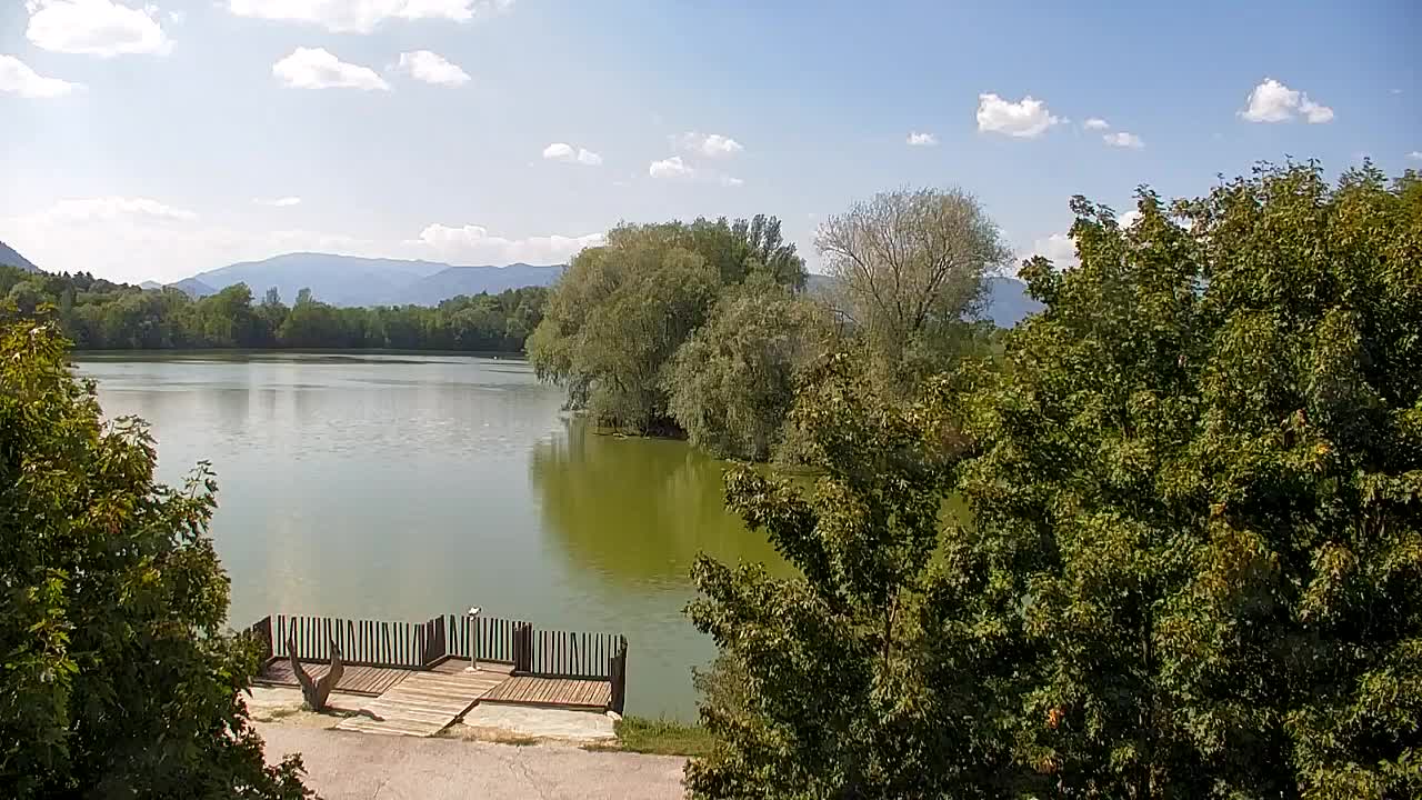 Webcam Ribnik Vrbje – Žalec