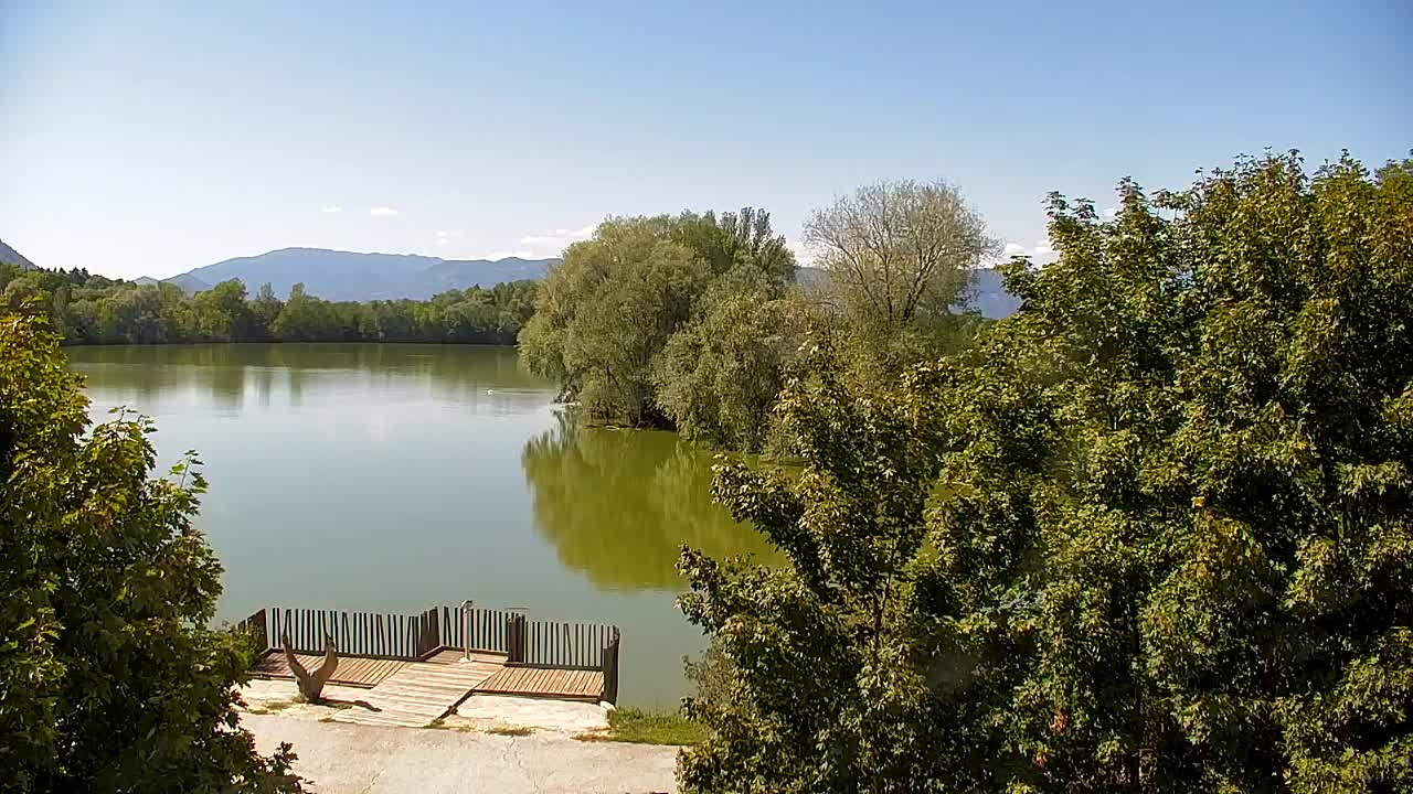 Webcam Ribnik Vrbje – Žalec