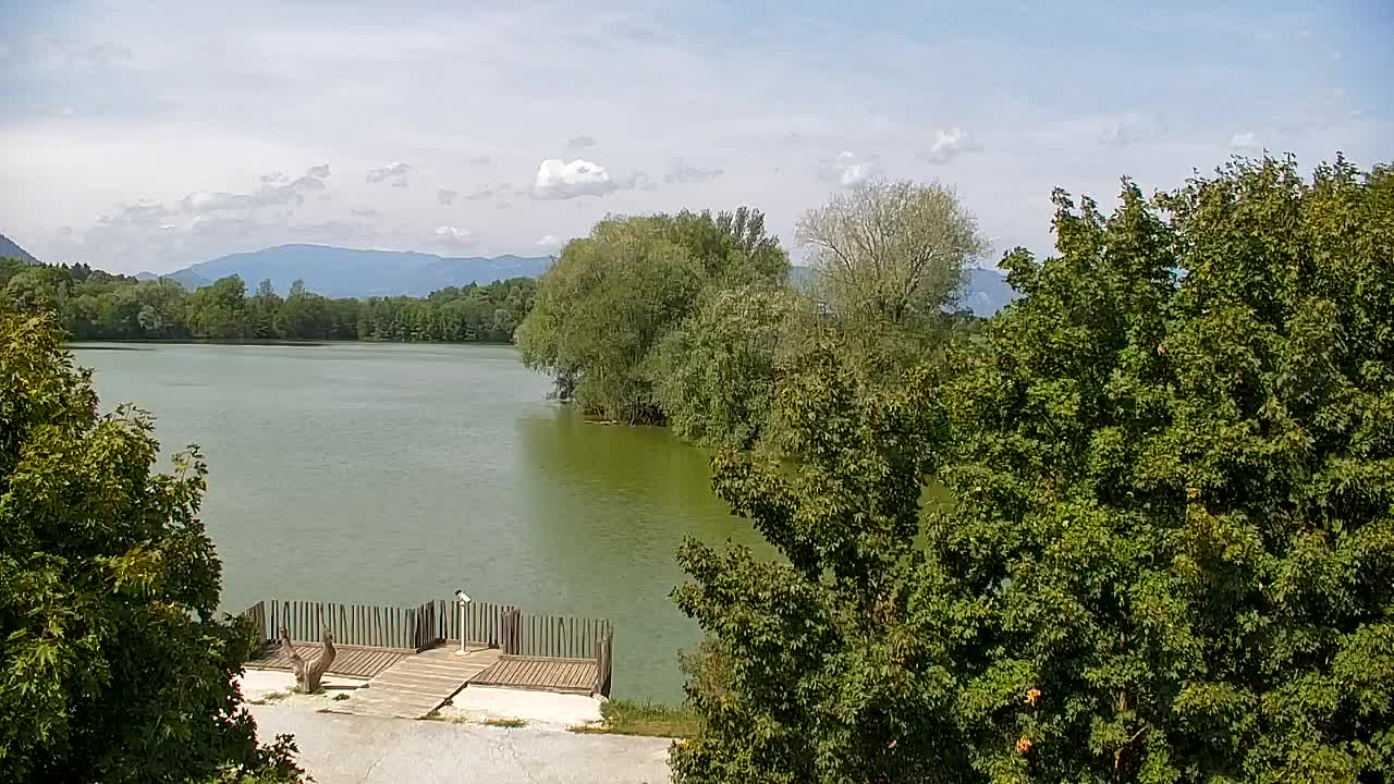 Spletna kamera Ribnik Vrbje – Žalec