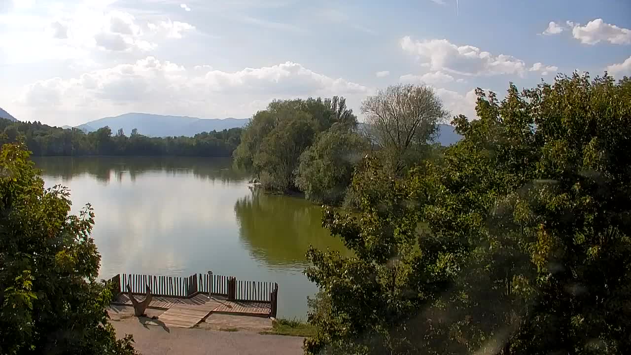 Webcam Ribnik Vrbje – Žalec