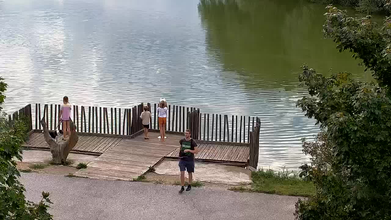 Webcam Ribnik Vrbje – Žalec