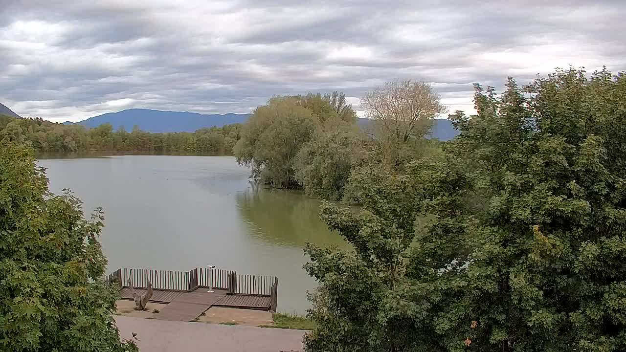 Webcam Ribnik Vrbje – Žalec