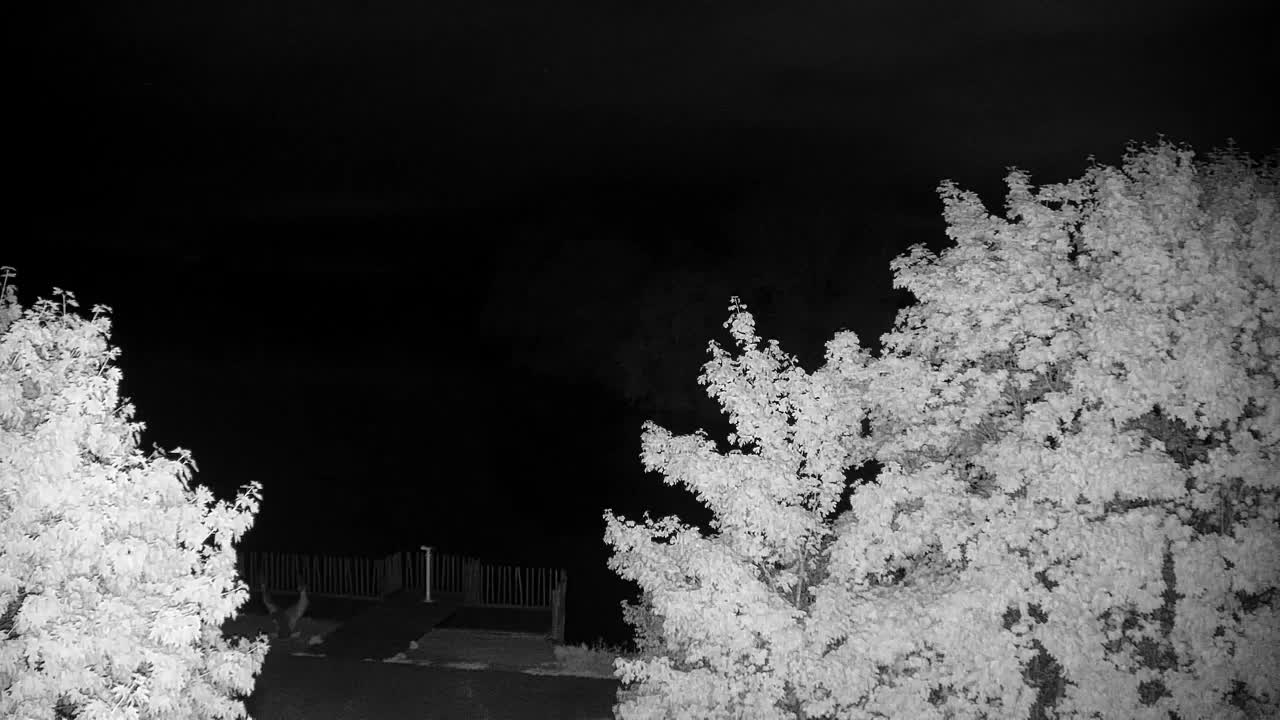 Webcam Ribnik Vrbje – Žalec