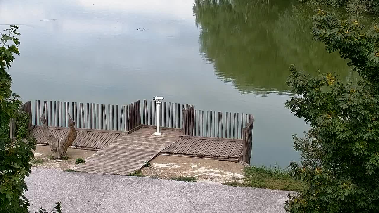 Webcam Ribnik Vrbje – Žalec