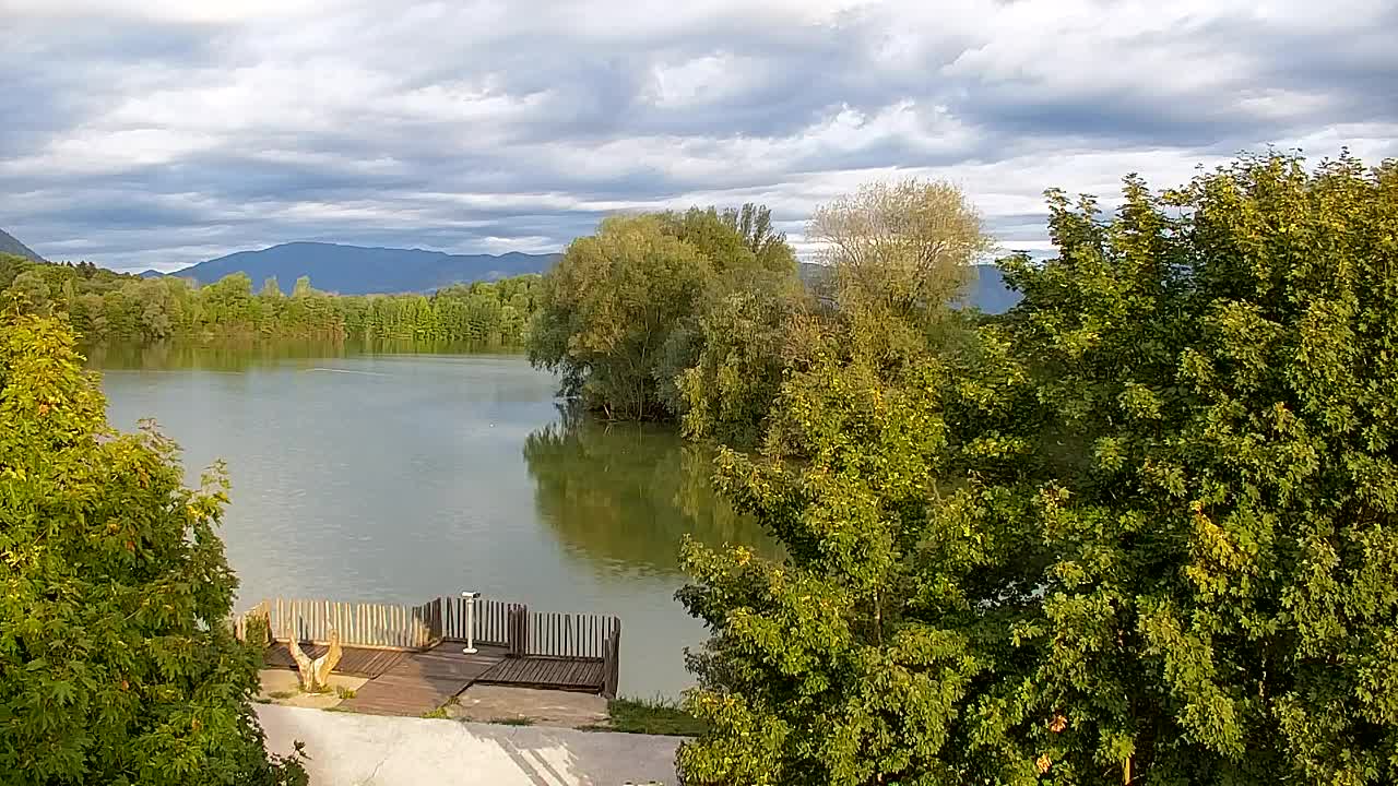 Webcam Ribnik Vrbje – Žalec