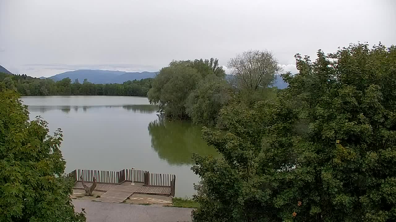 Webcam Ribnik Vrbje – Žalec