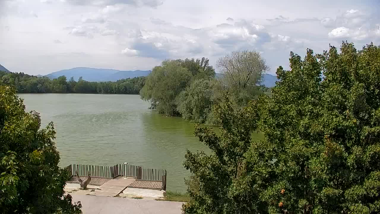 Webcam Ribnik Vrbje – Žalec