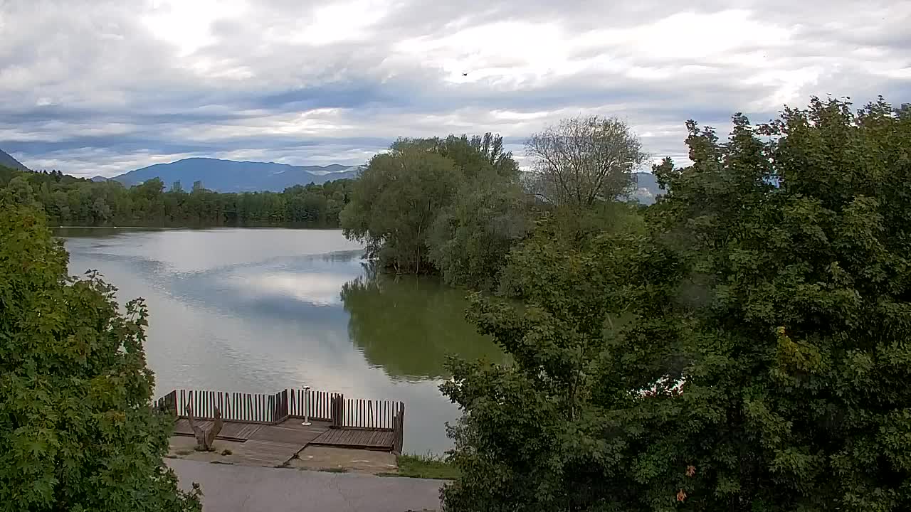 Webcam Ribnik Vrbje – Žalec