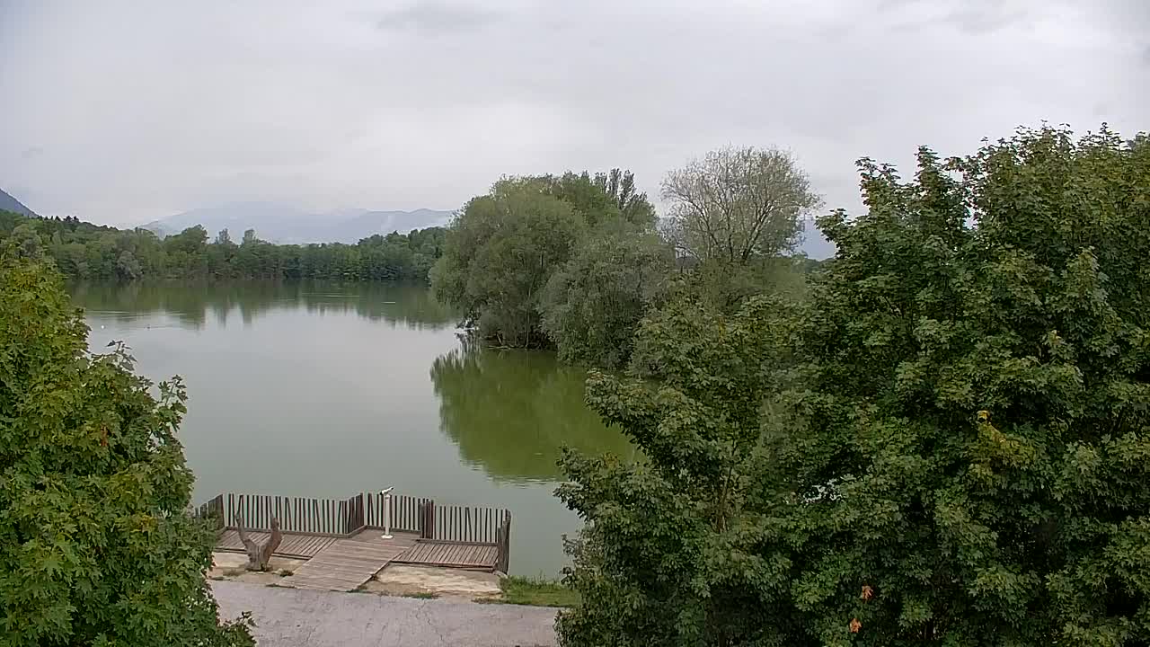 Webcam Ribnik Vrbje – Žalec