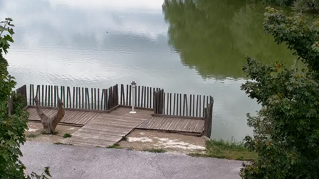 Webcam Ribnik Vrbje – Žalec