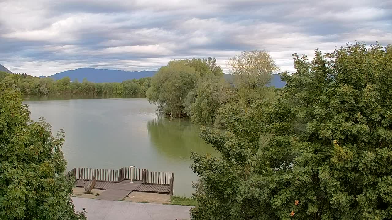 Webcam Ribnik Vrbje – Žalec