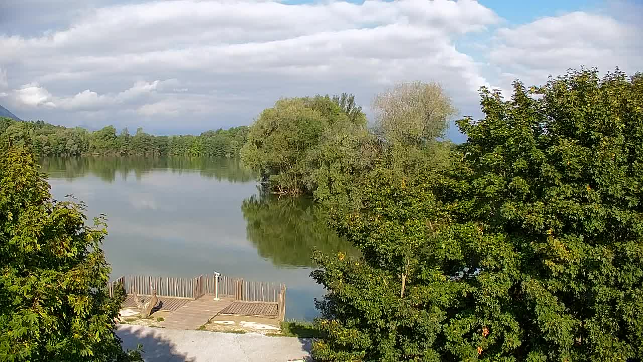 Spletna kamera Ribnik Vrbje – Žalec