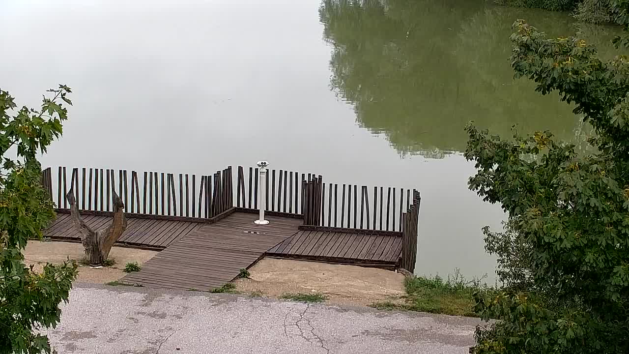 Webcam Ribnik Vrbje – Žalec