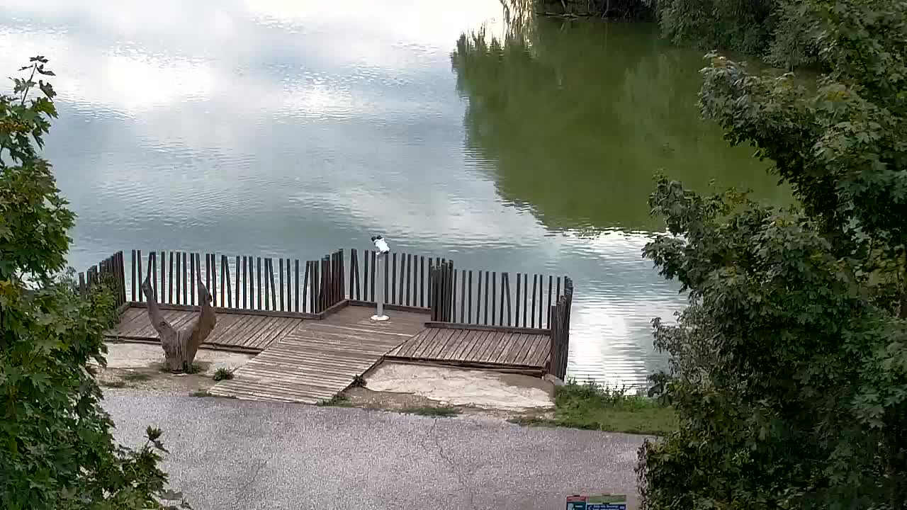 Webcam Ribnik Vrbje – Žalec