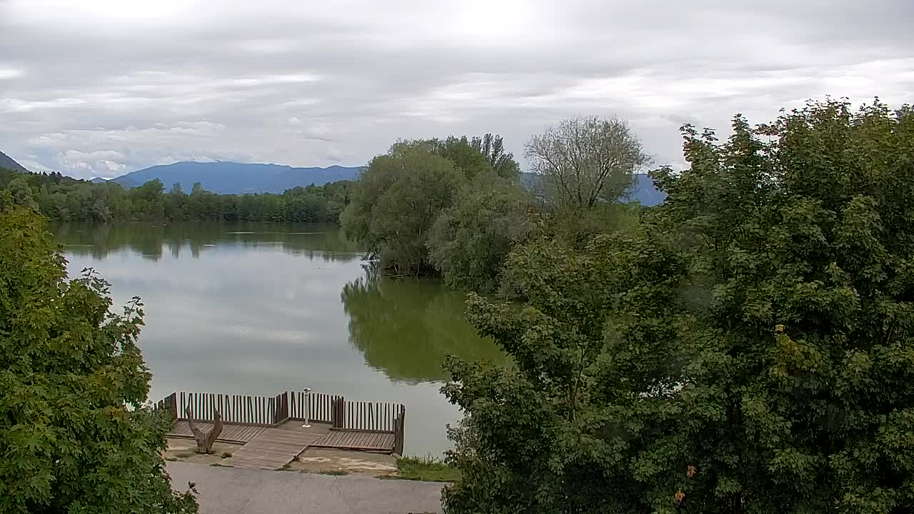 Webcam Ribnik Vrbje – Žalec
