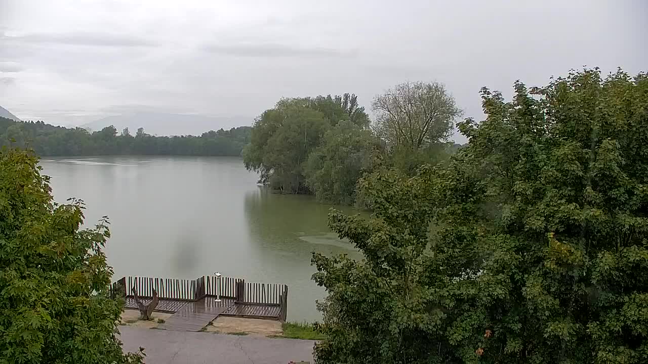 Webcam Ribnik Vrbje – Žalec