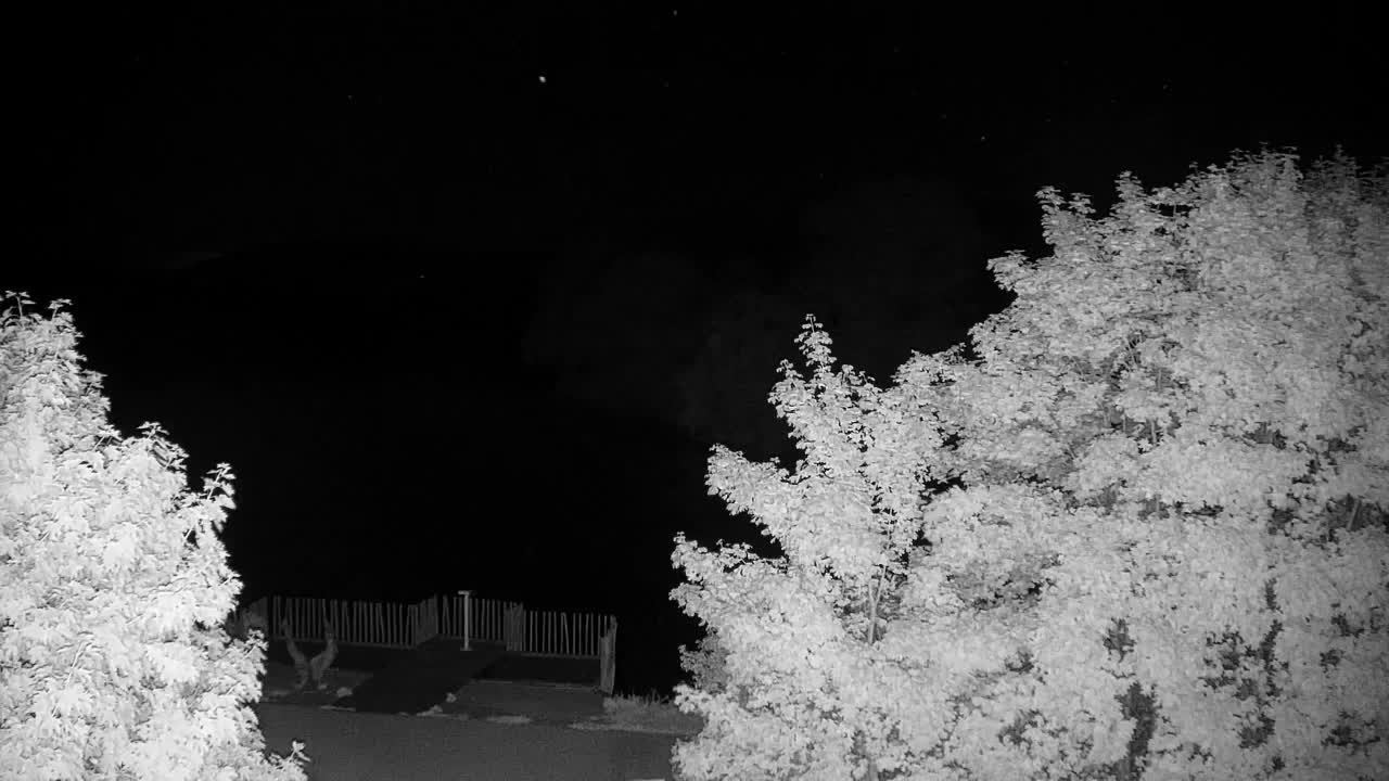 Webcam Ribnik Vrbje – Žalec