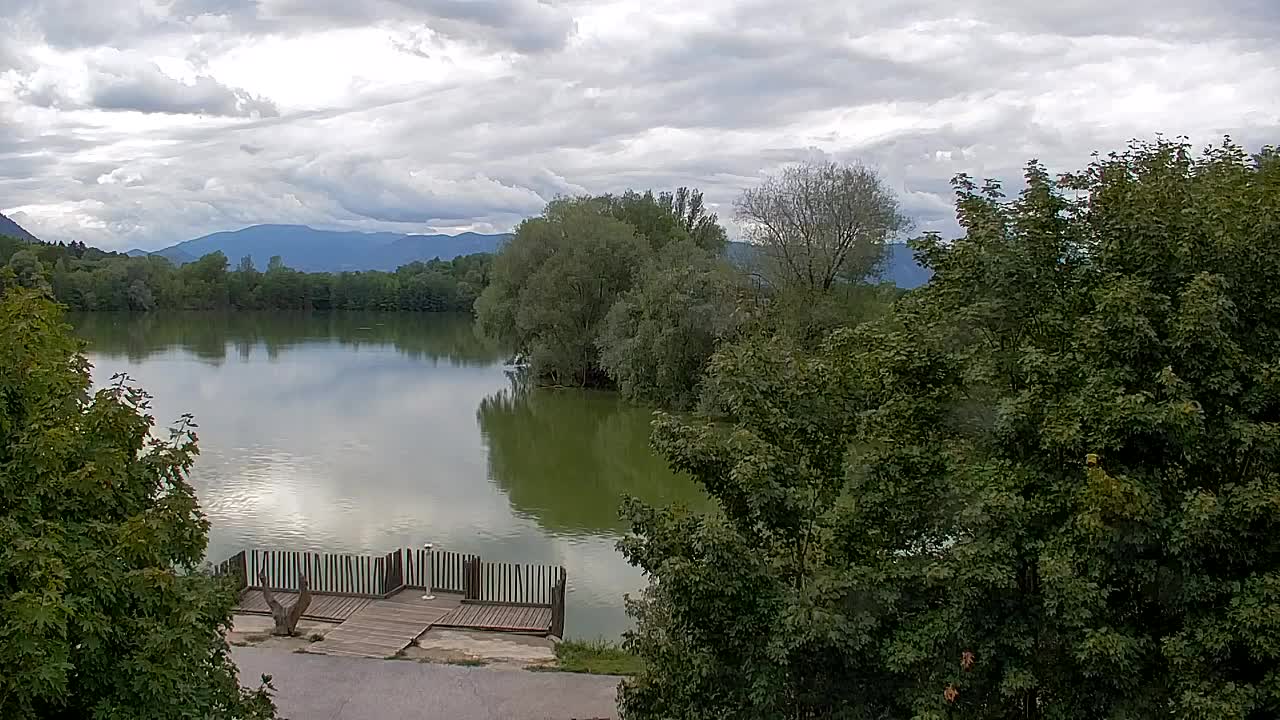 Webcam Ribnik Vrbje – Žalec