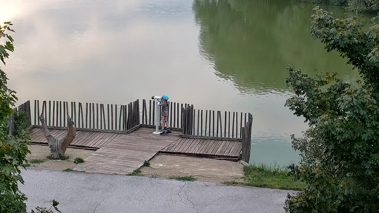 Webcam Ribnik Vrbje – Žalec