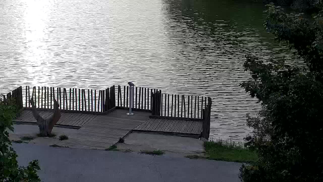 Webcam Ribnik Vrbje – Žalec