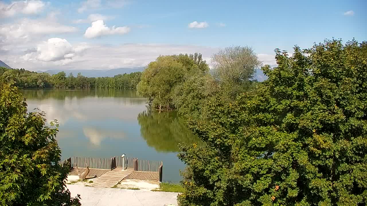 Webcam Ribnik Vrbje – Žalec