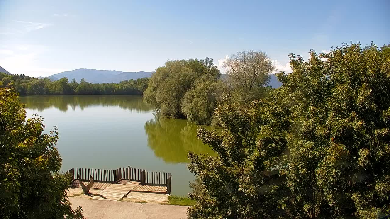Webcam Ribnik Vrbje – Žalec