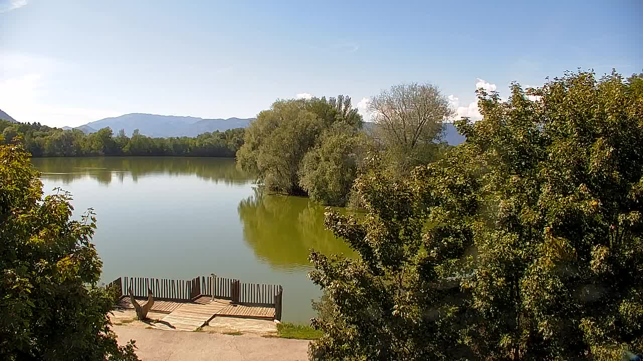 Webcam Ribnik Vrbje – Žalec