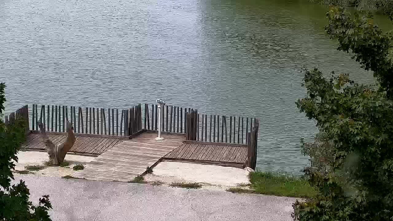 Webcam Ribnik Vrbje – Žalec