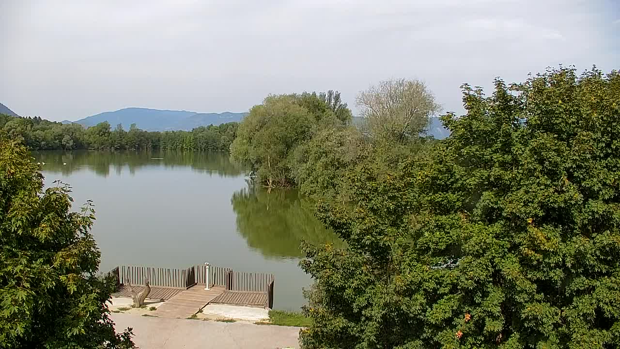 Webcam Ribnik Vrbje – Žalec