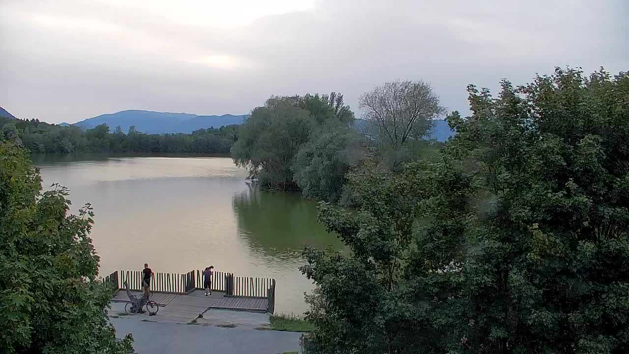 Webcam Ribnik Vrbje – Žalec