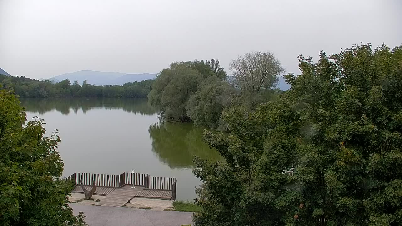 Webcam Ribnik Vrbje – Žalec