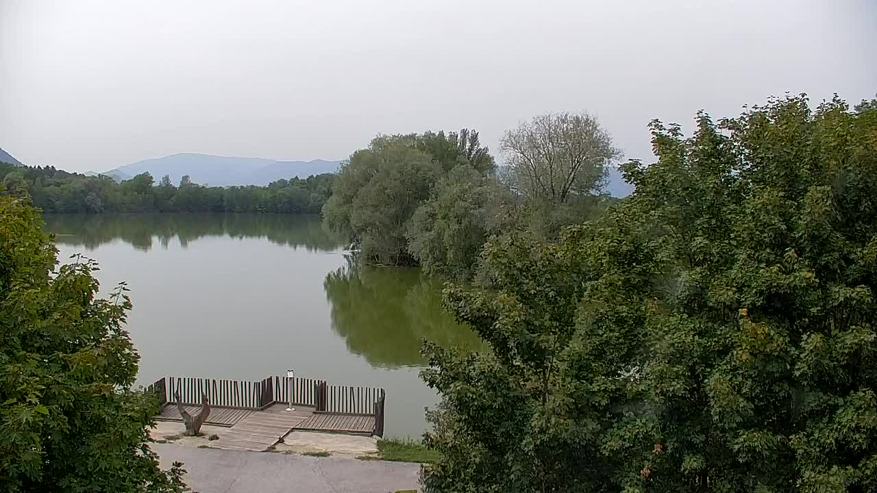 Web kamera Ribnik Vrbje – Žalec