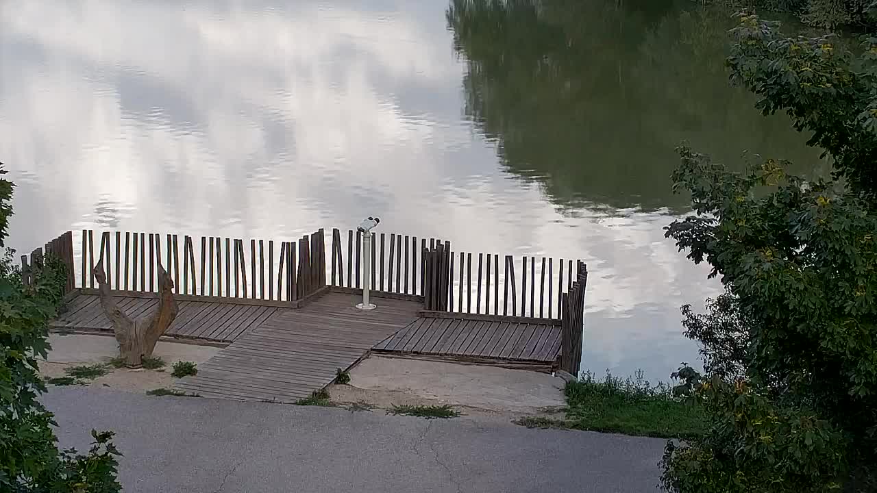 Webcam Ribnik Vrbje – Žalec