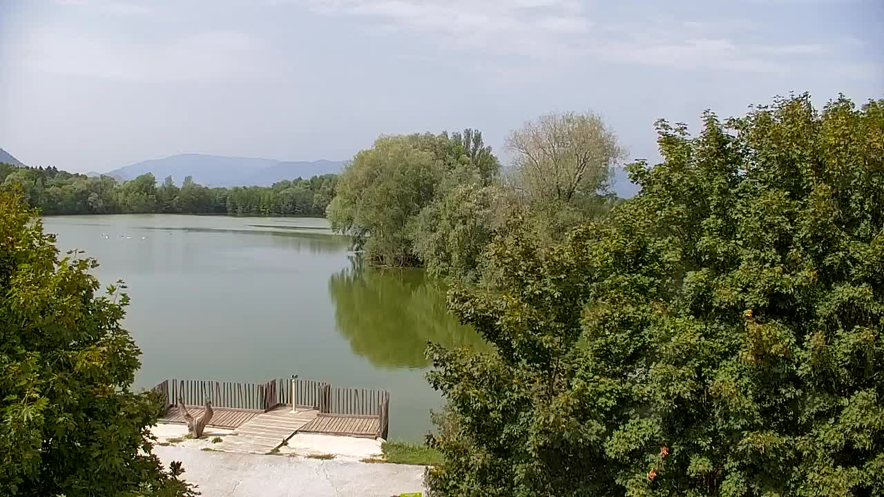 Webcam Ribnik Vrbje – Žalec