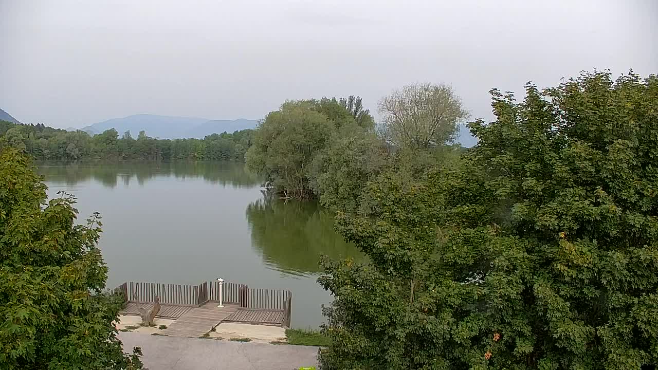 Webcam Ribnik Vrbje – Žalec