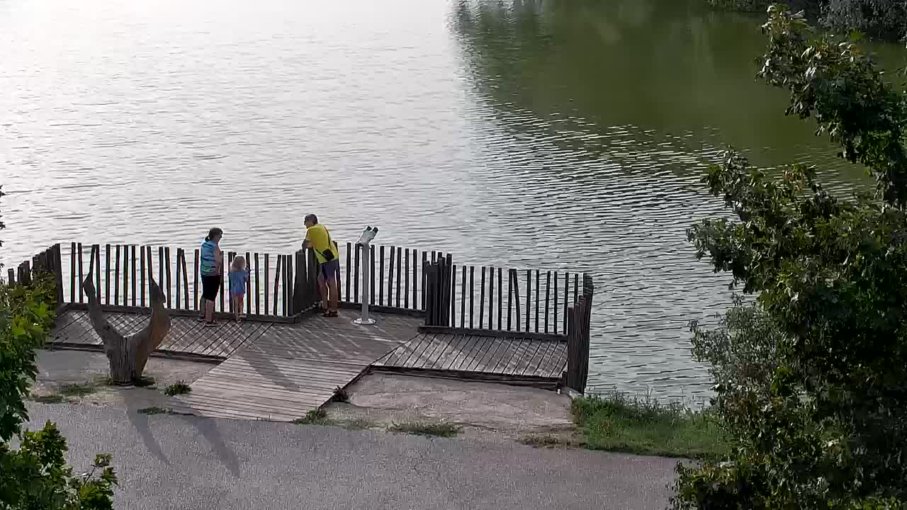 Web kamera Ribnik Vrbje – Žalec