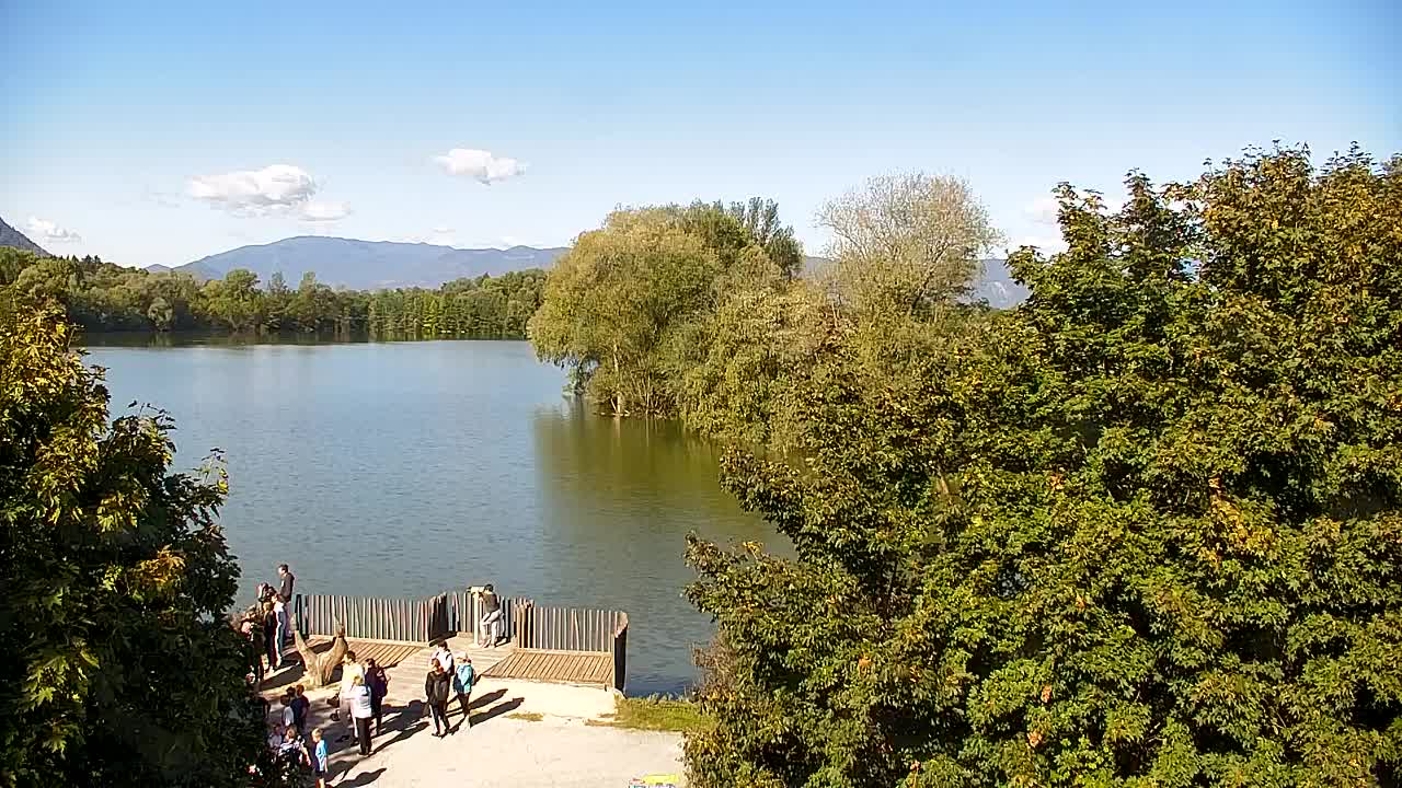 Web kamera Ribnik Vrbje – Žalec