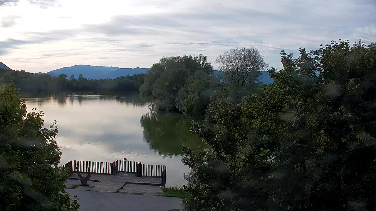 Spletna kamera Ribnik Vrbje – Žalec