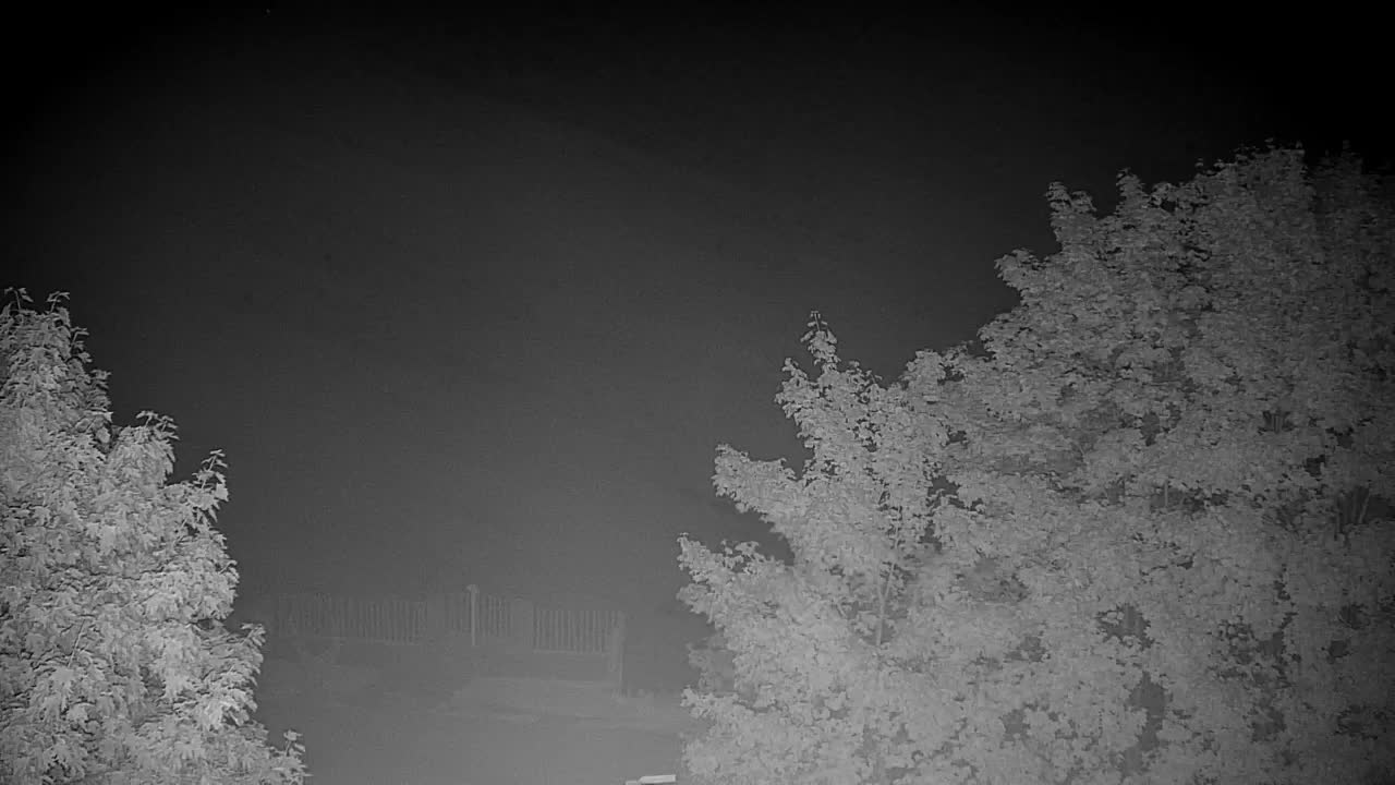 Webcam Ribnik Vrbje – Žalec