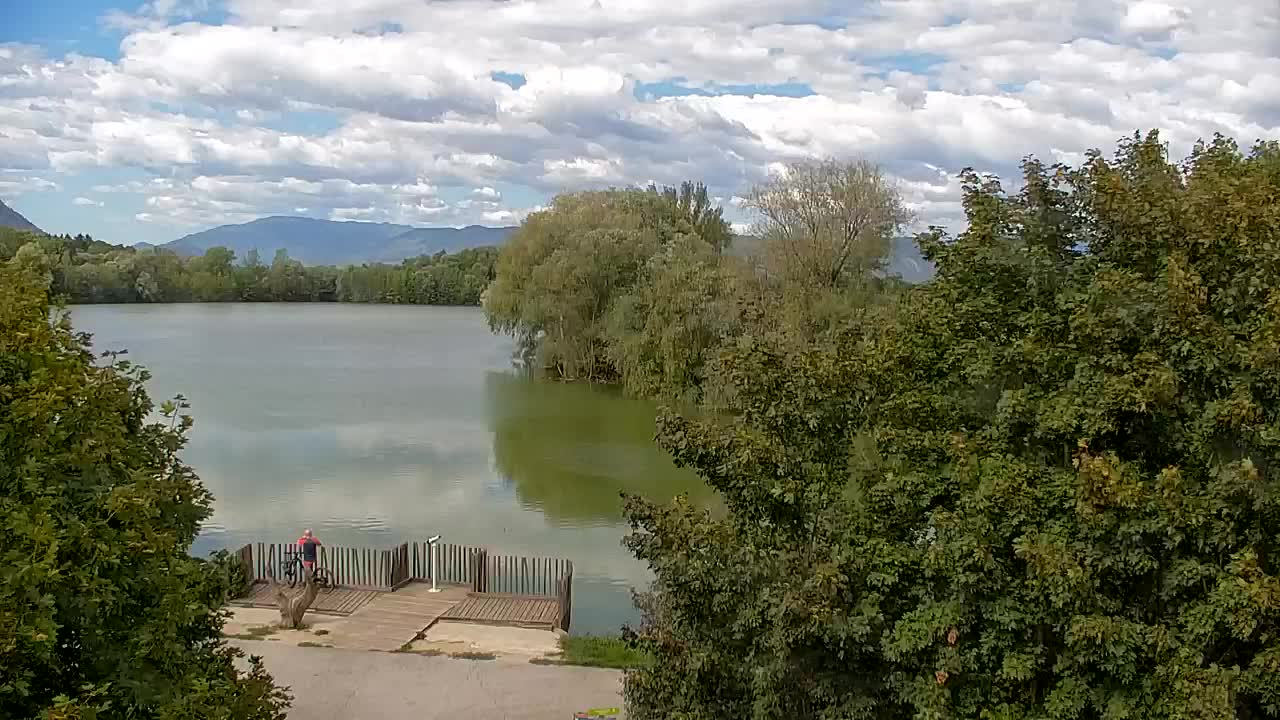 Webcam Ribnik Vrbje – Žalec
