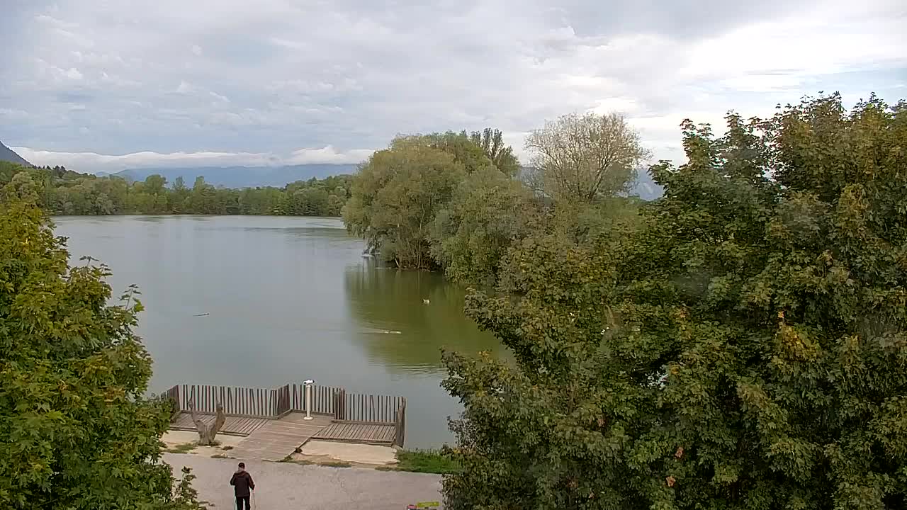 Spletna kamera Ribnik Vrbje – Žalec