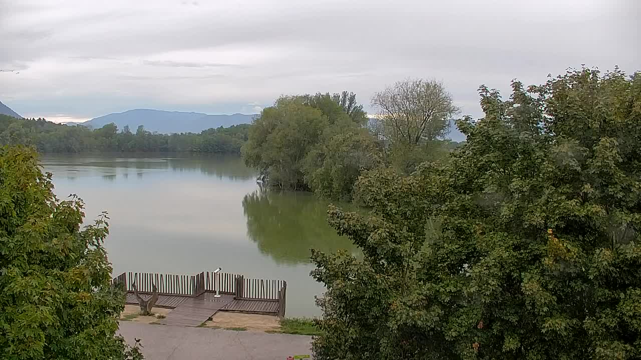 Webcam Ribnik Vrbje – Žalec