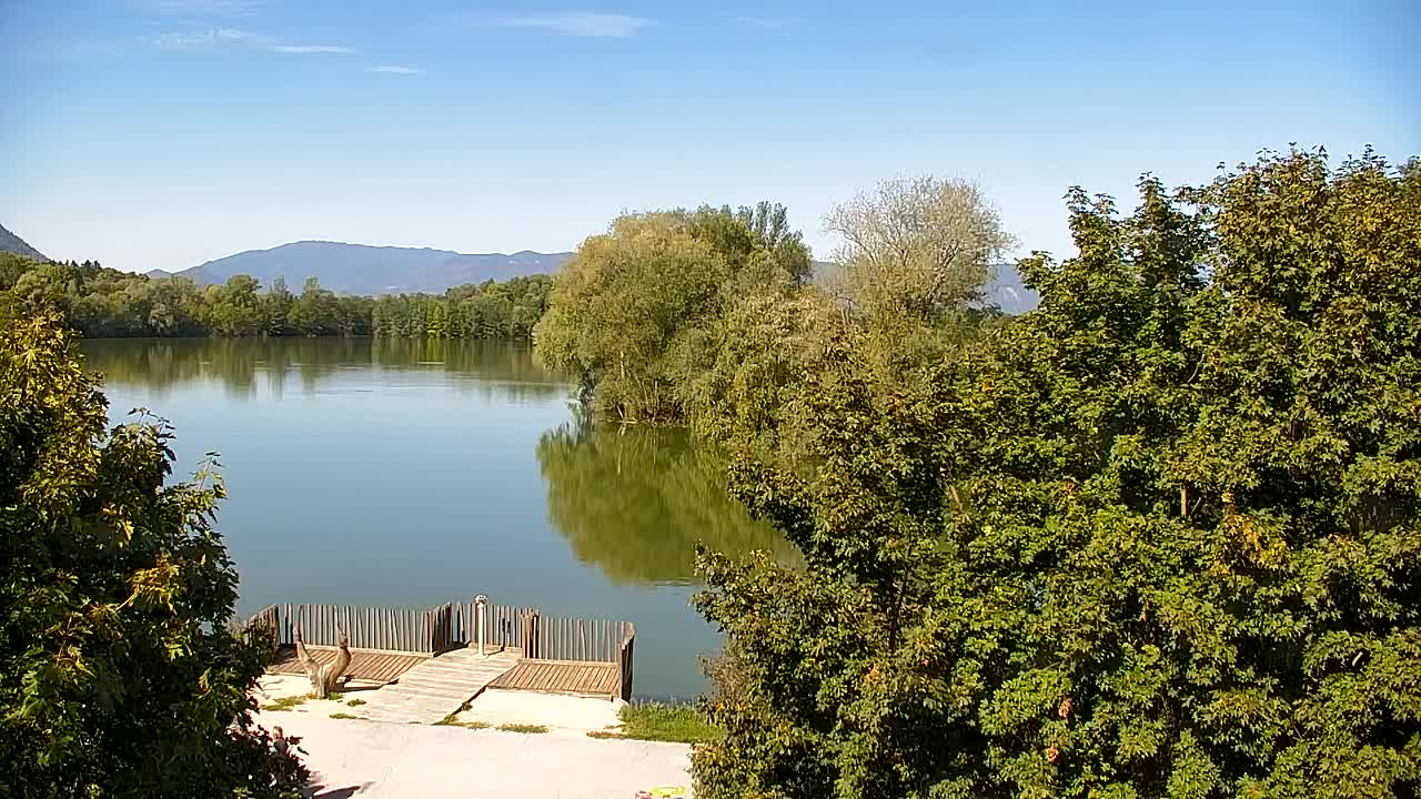 Webcam Ribnik Vrbje – Žalec