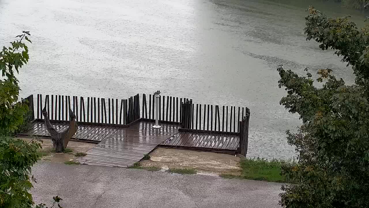 Webcam Ribnik Vrbje – Žalec