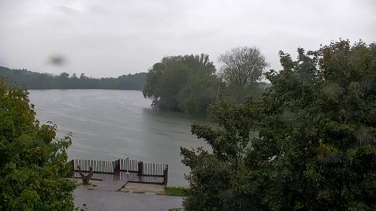Webcam Ribnik Vrbje – Žalec