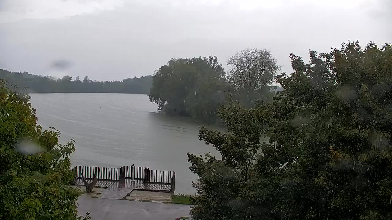 Webcam Ribnik Vrbje – Žalec