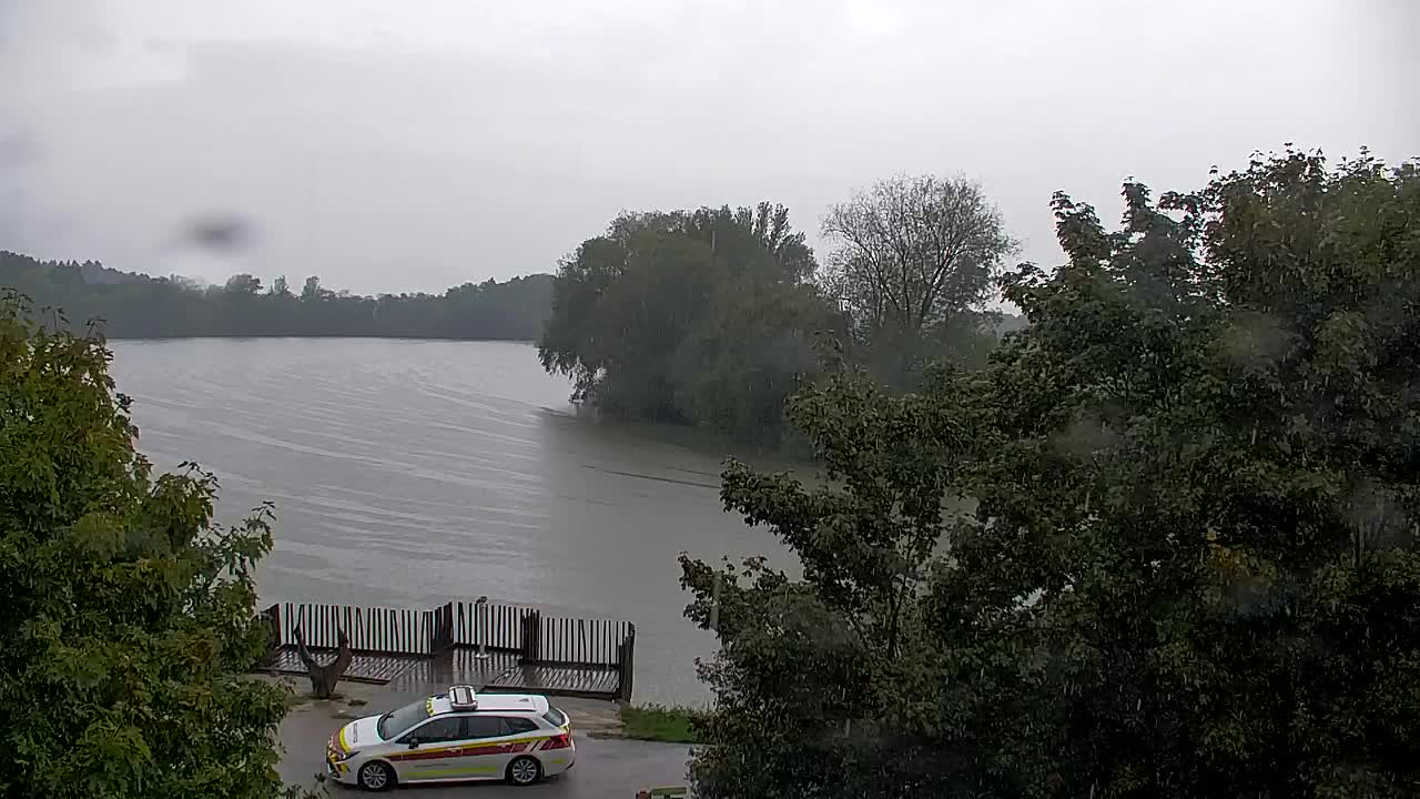 Webcam Ribnik Vrbje – Žalec