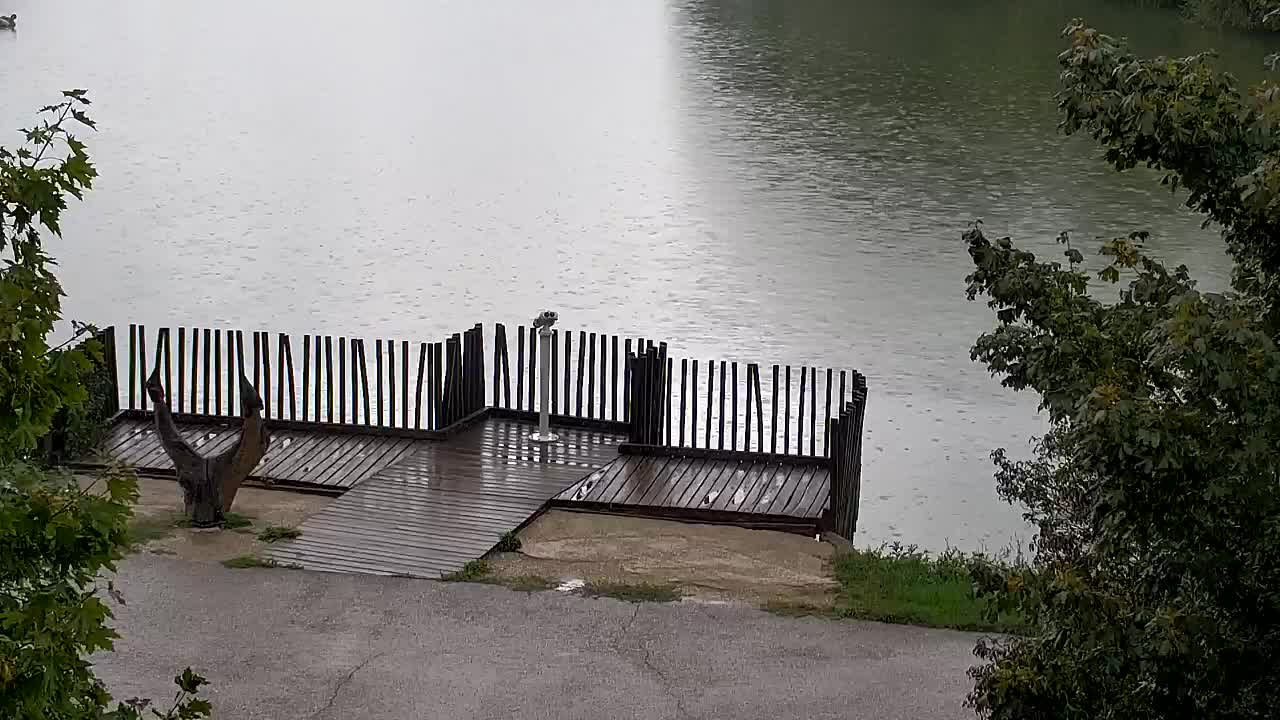 Webcam Ribnik Vrbje – Žalec