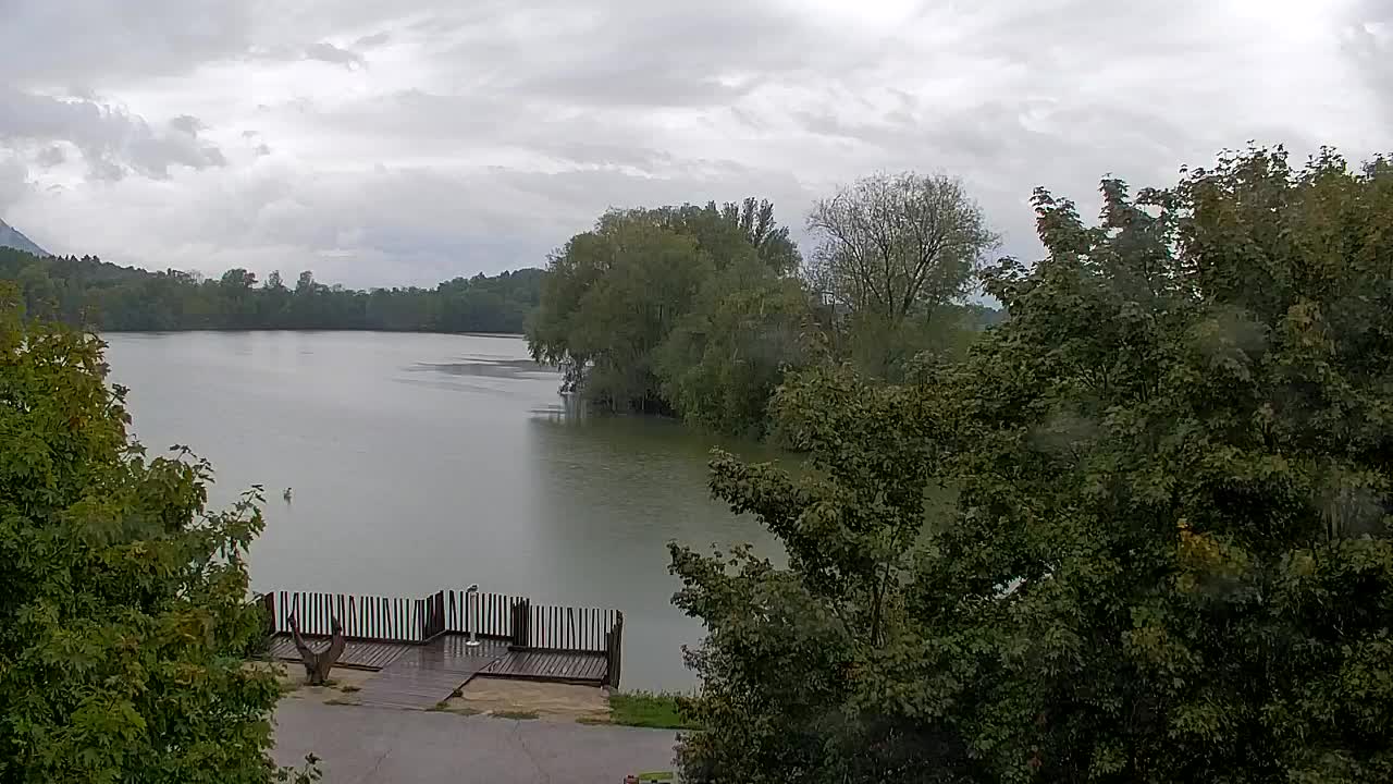 Webcam Ribnik Vrbje – Žalec